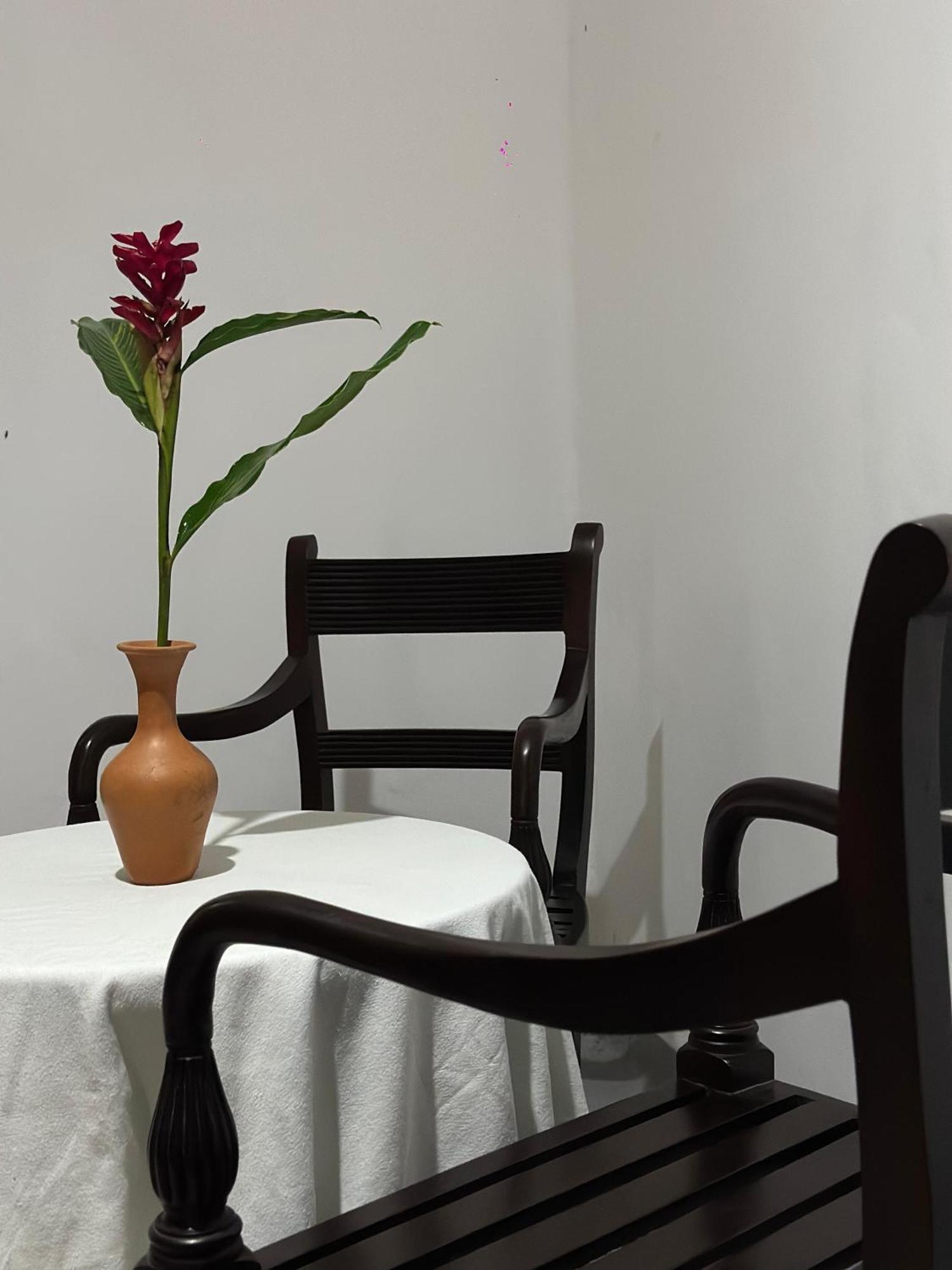 Casa Del Ceylon Apartment Хикадува Екстериор снимка